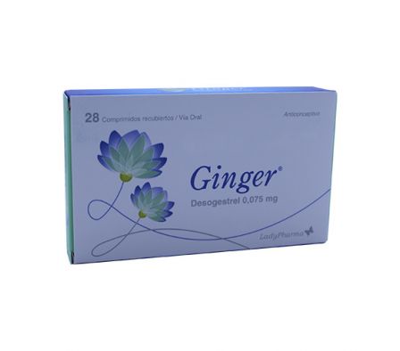 GINGER CAJA X 28 COMPRIMIDOS RECUBIERTOS