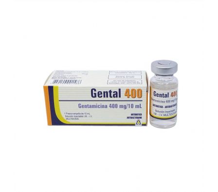 GENTAL 400MG ENDOV AMPOLLA X 10ML