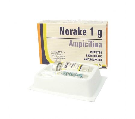 NORAKE 1GR ENDOV AMPOLLA X 3ML