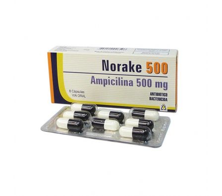 NORAKE 500MG CAPS CAJA X 8