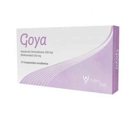 GOYA CAJA X 21 COMP
