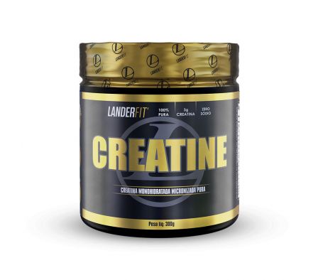 CREATINA LANDERFIT POTE 300 GR - BR