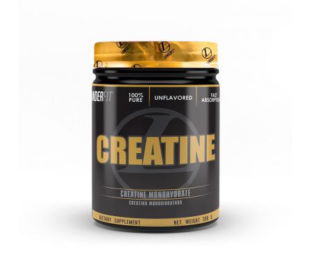 CREATINE LANDERFIT POTE 300 GR