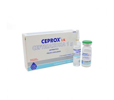 CEPROX 1GR ENDOV FRASCO AMPOLLA X 10ML