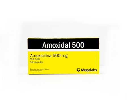 AMOXIDAL 500MG CAPS CAJA X 16