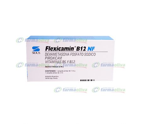 FLEXICAMIN B-12 2.5MG TABL. AMPOLLA X 1