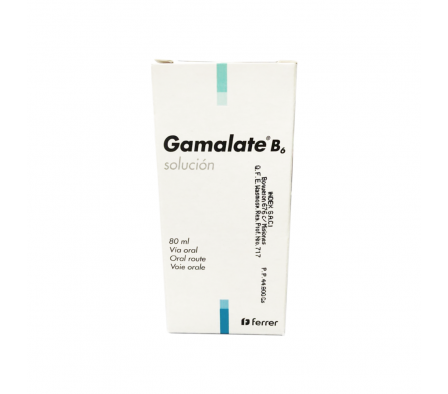 GAMALATE B6 2GR SO-OR ENVASE X 80ML