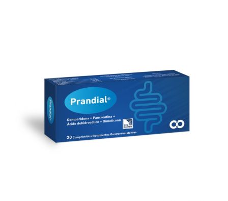 Prandial Caja X 20 Comp. Rec.