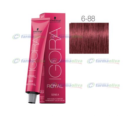 IGORA ROYAL 6-88