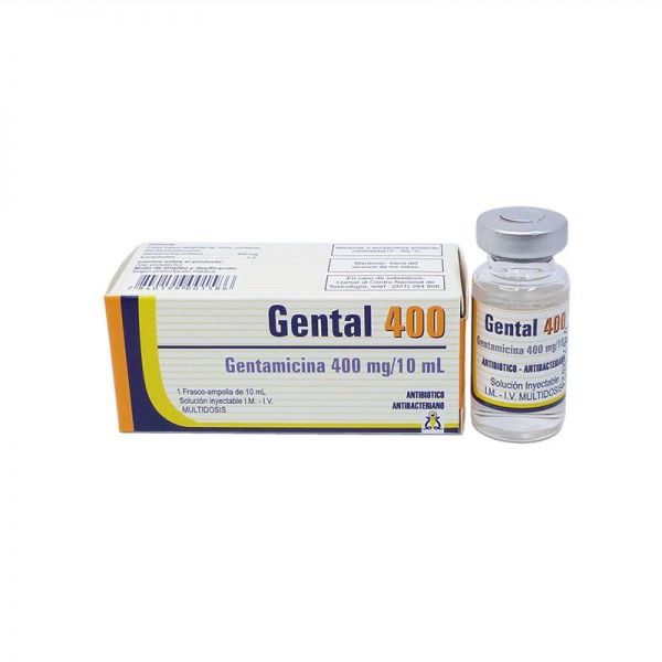GENTAL 400MG ENDOV AMPOLLA X 10ML