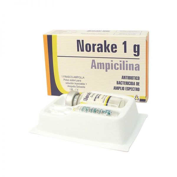 NORAKE 1GR ENDOV AMPOLLA X 3ML