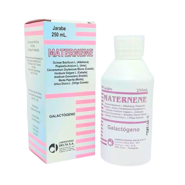 MATERNENE JARABE FRASCO X 250ML