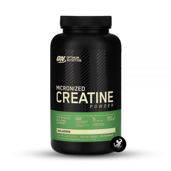 CREATINE MICRONIZED 300 GRS.