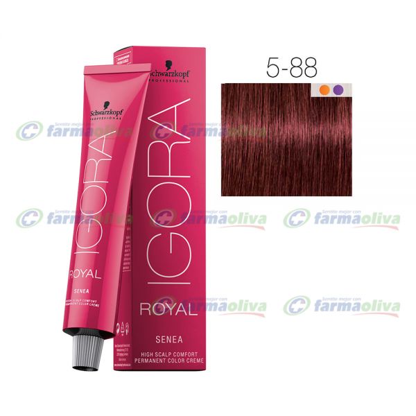 IGORA ROYAL 5-88