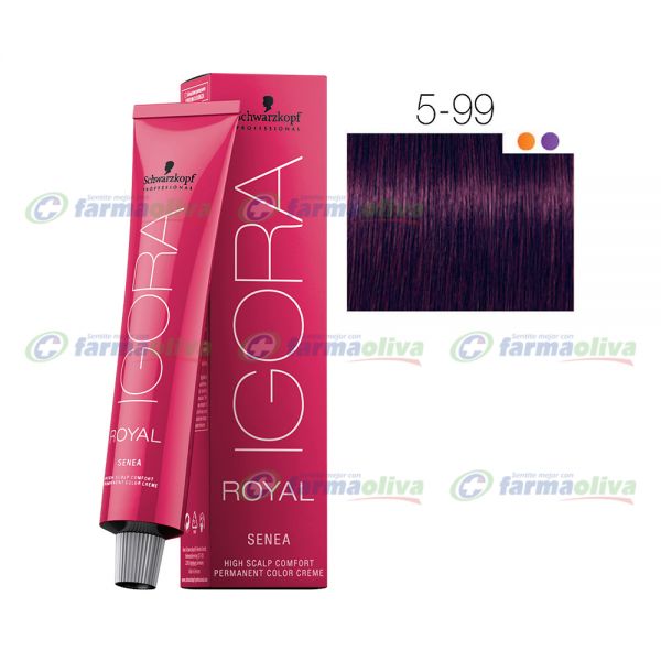 IGORA ROYAL 5-99