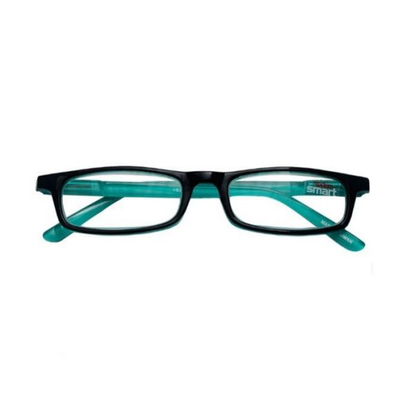 B+D LENT.VISTA SMART +2.50PE D3800 REF.495