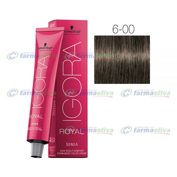 IGORA ROYAL 6-00